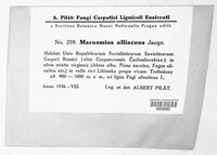 Image Associated With the Occurrence